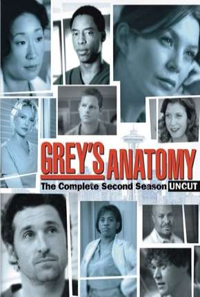 Greys Anatomy - 2ª Temporada Completa Download