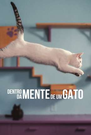 Dentro da Mente de um Gato - Legendado Download