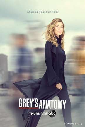 Greys Anatomy - 19ª Temporada Legendada Download